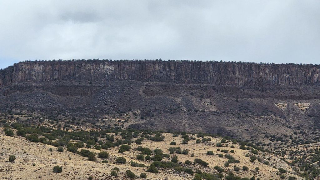 20250402_1258081437252432826478672