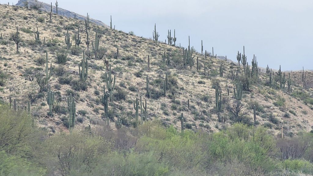 20250402_1616303534683821347714593