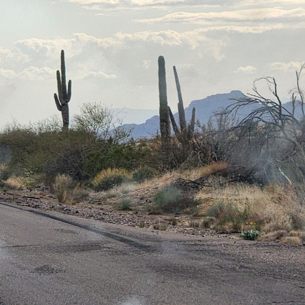 20250402_1623564974405151367250744