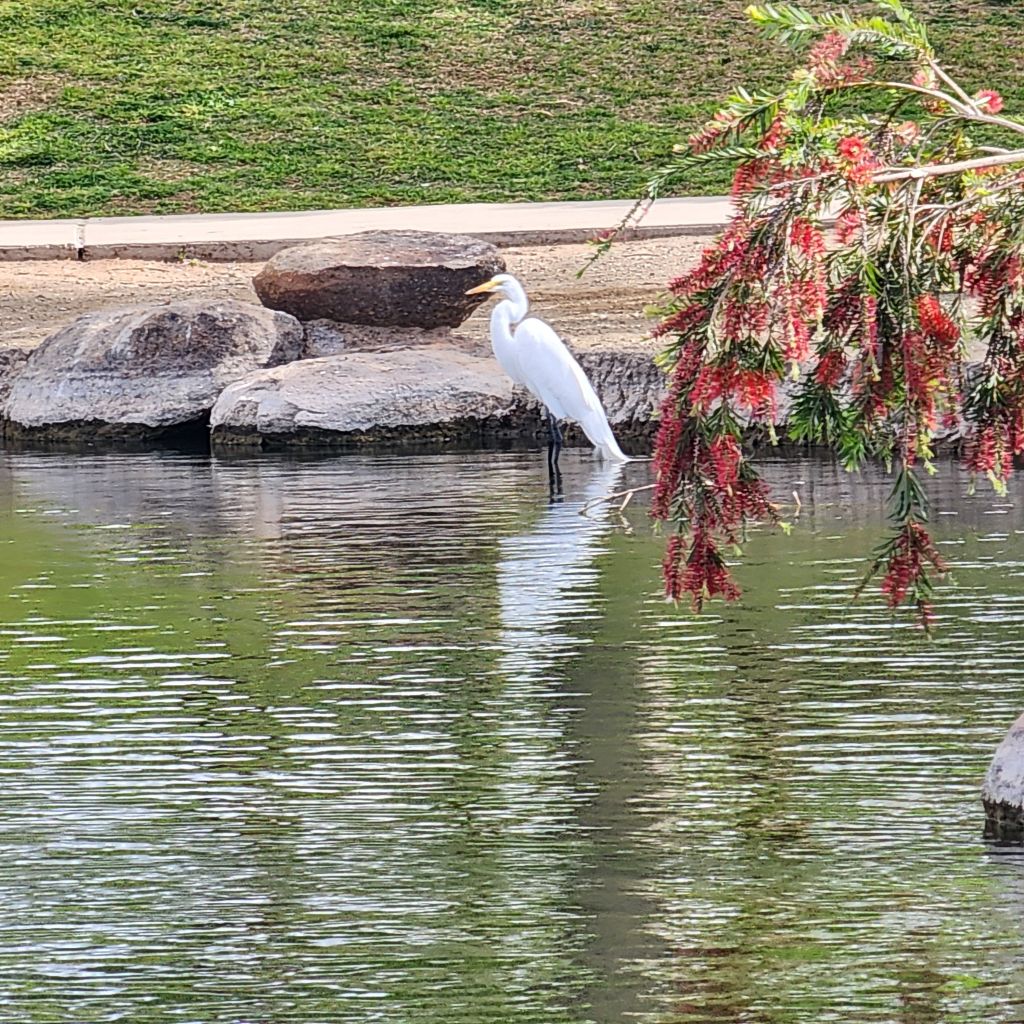 20250404_1545522871363938305987078