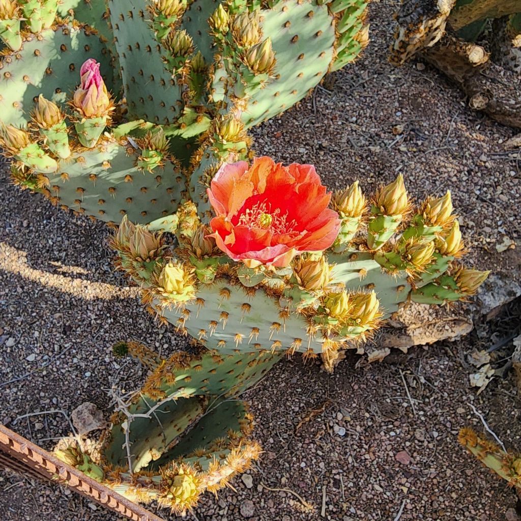 20250407_1655496048488574430876758