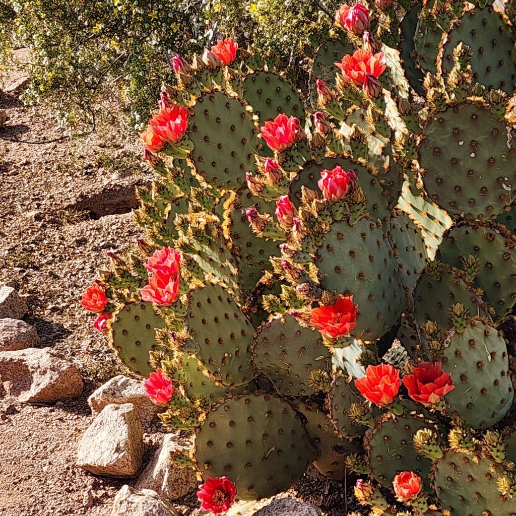 20250407_1704303475376411729591323