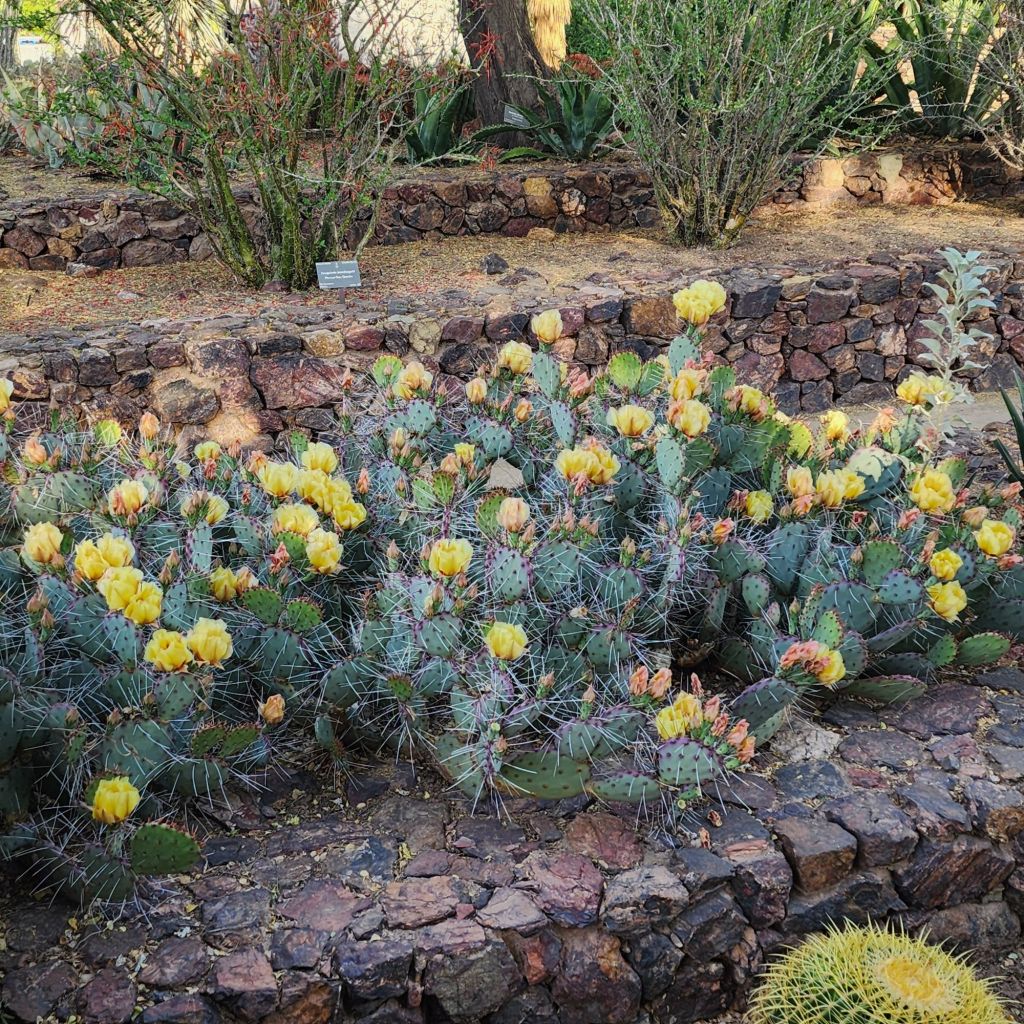 20250407_172654564291359150803417