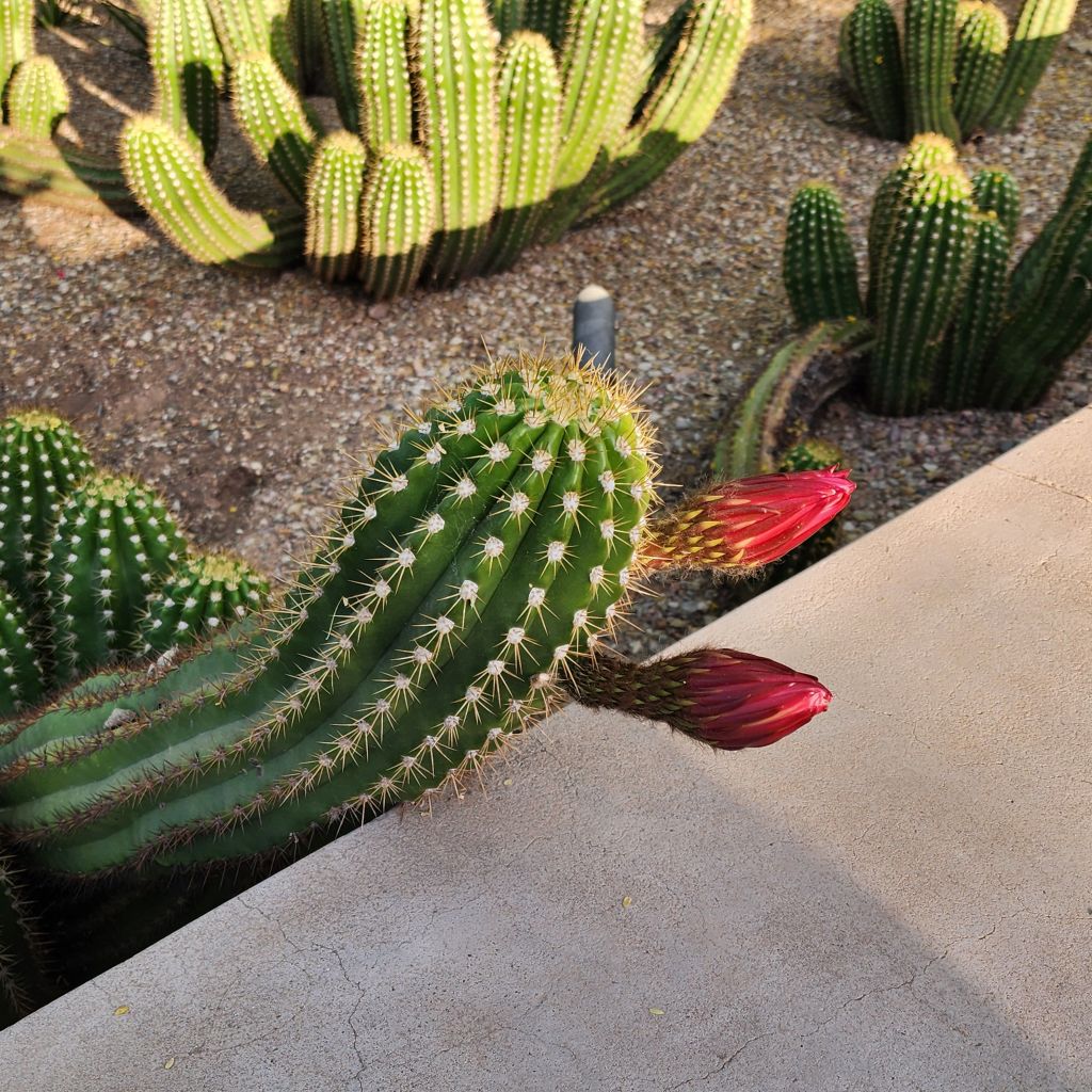 20250407_1756256384906664974097564