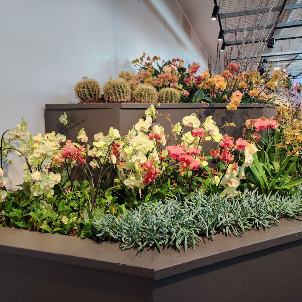 20250407_1811574664044202439698716