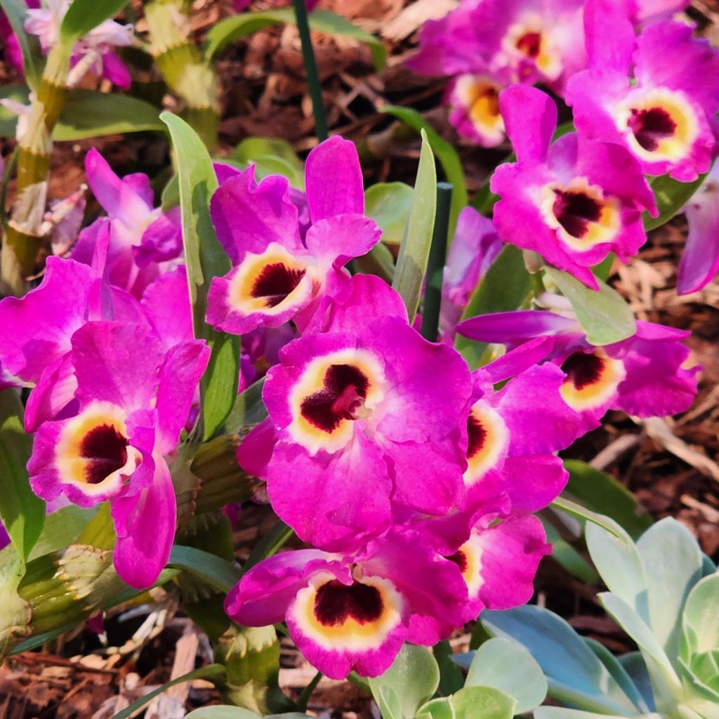 20250407_1814252635454218980921986