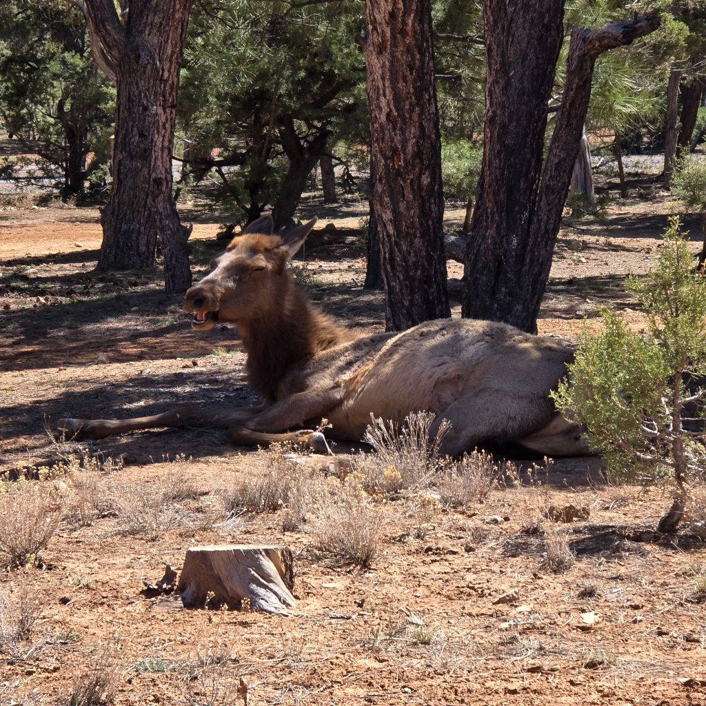 20250409_1124353897271309291324704