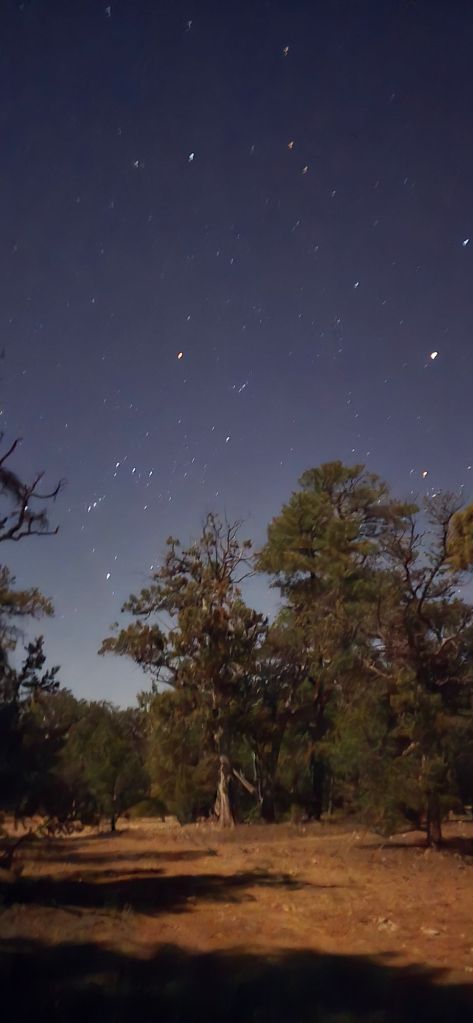 20250409_2054141576228013627175459