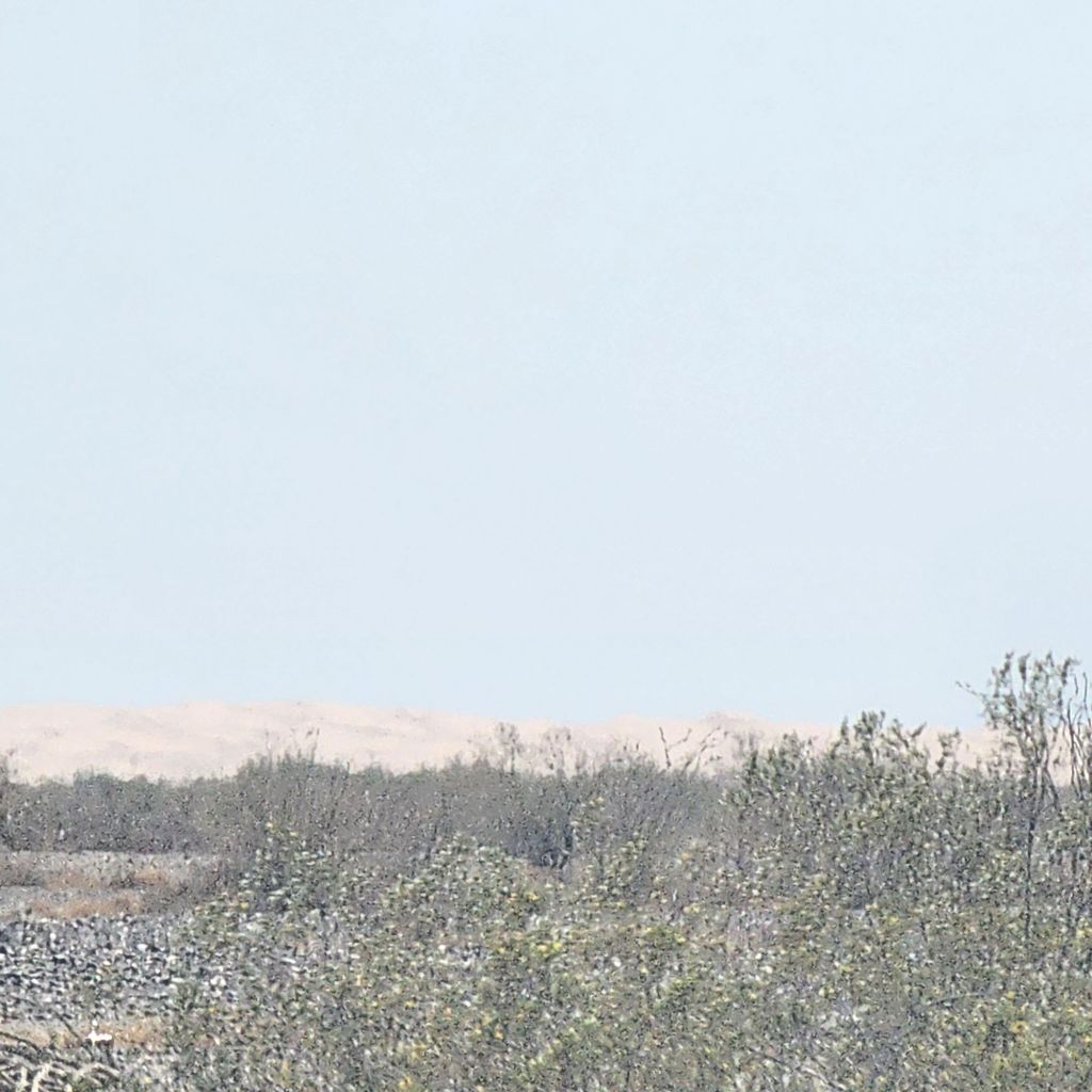 20250410_140832789596044783678537