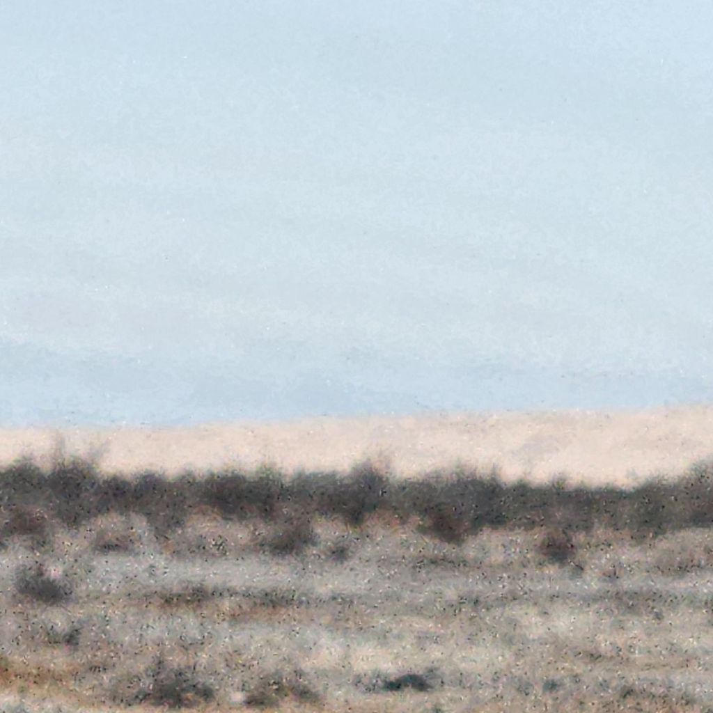 20250410_1410404159214772674283547