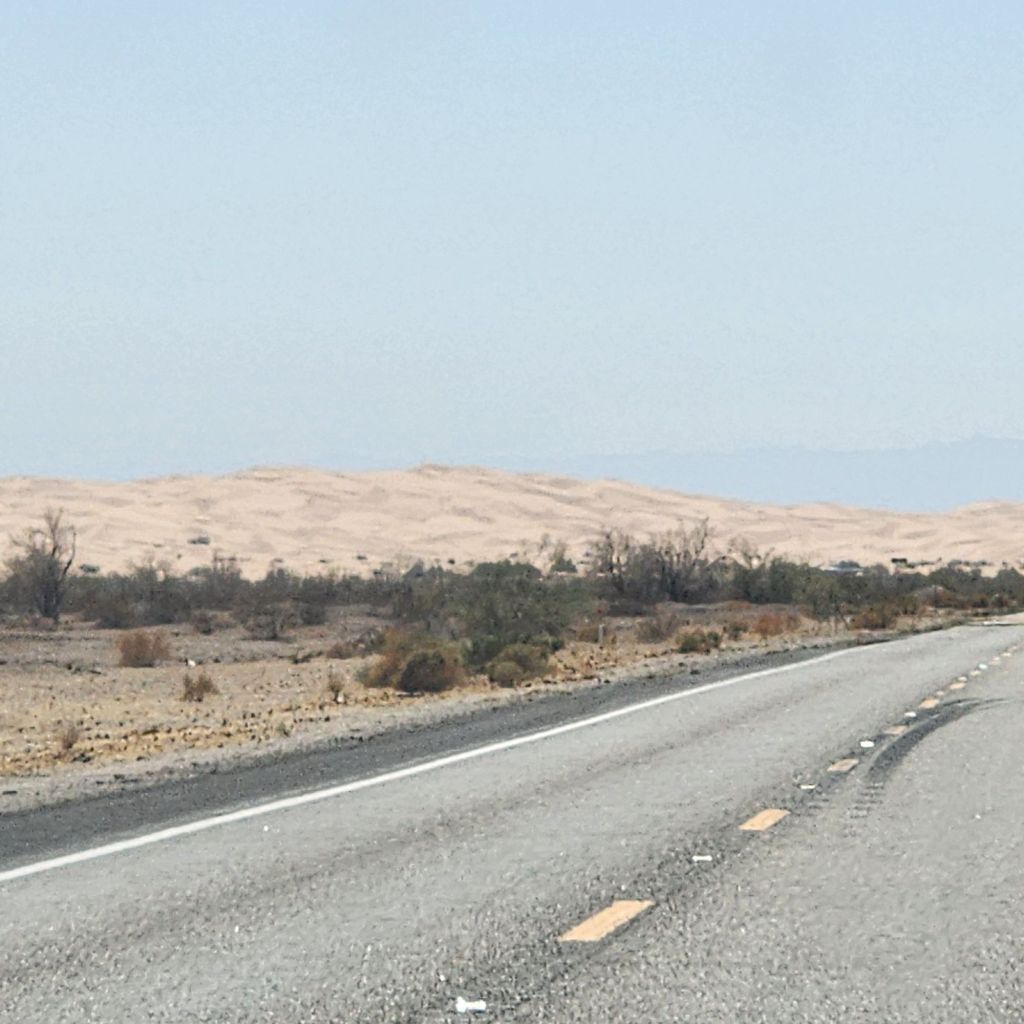 20250410_1413204865806149227891522