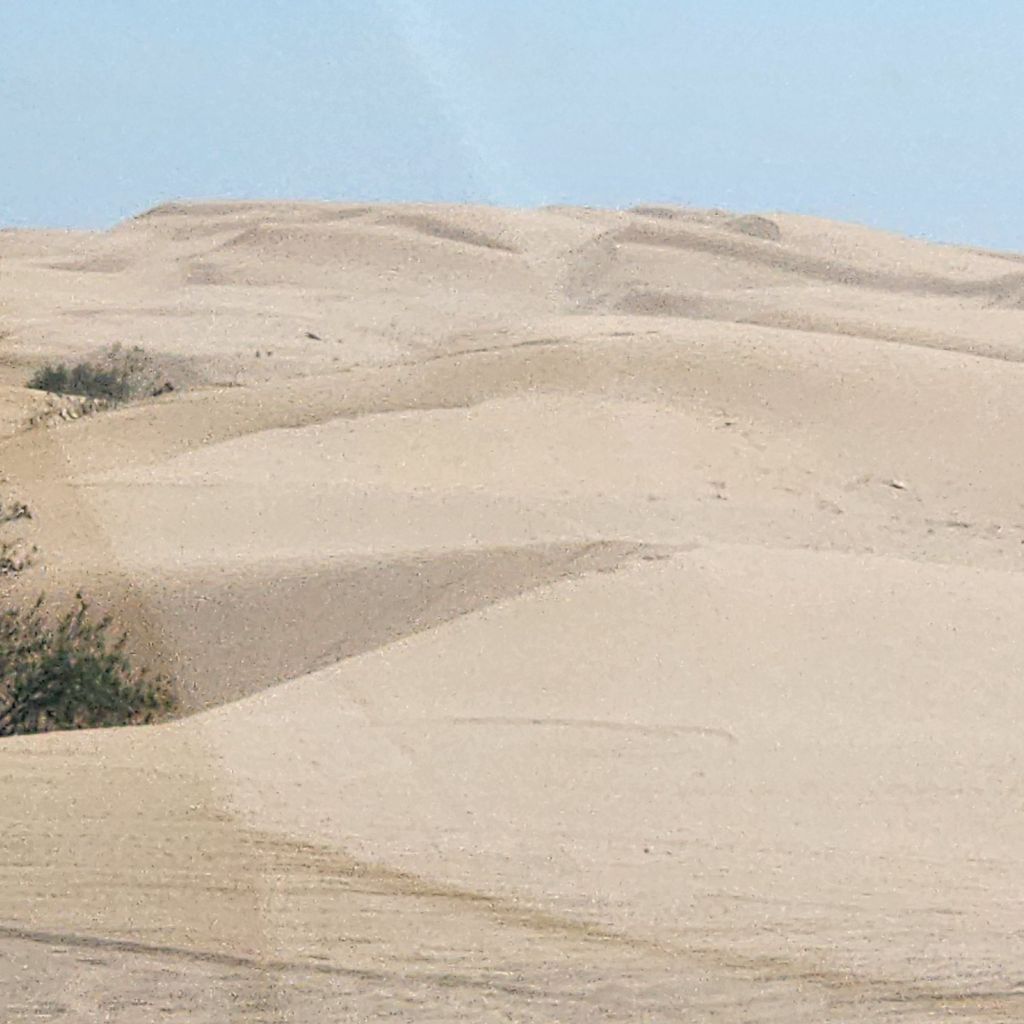 20250410_1415538058003084377944878