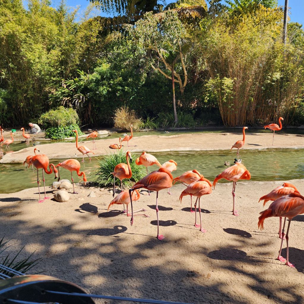 20250411_1008077040985019879972879