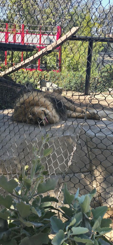 20250411_1031576161908032809631380