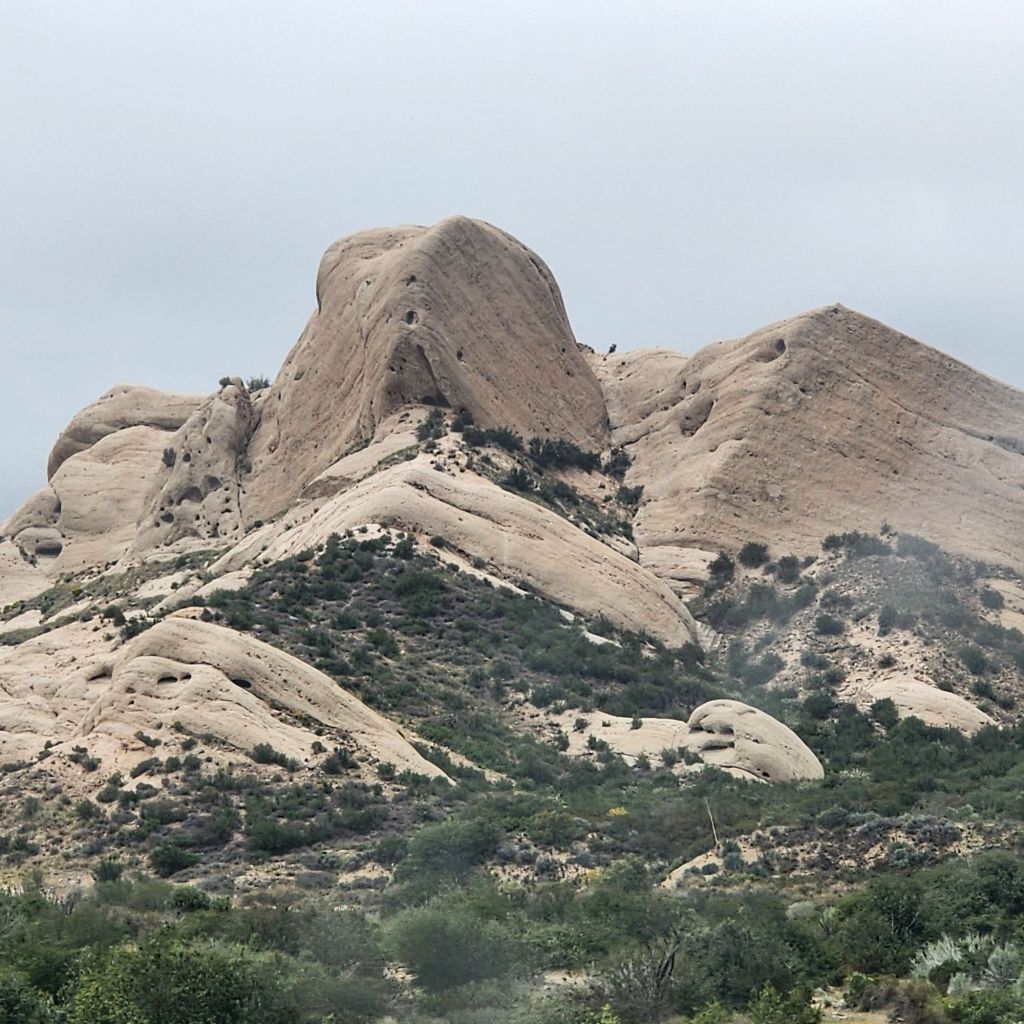 20250417_1053536460840004036143004