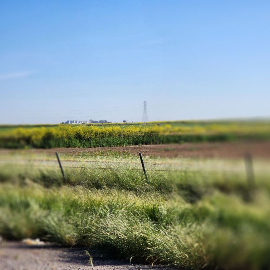 20250418_0857327539483142212417649