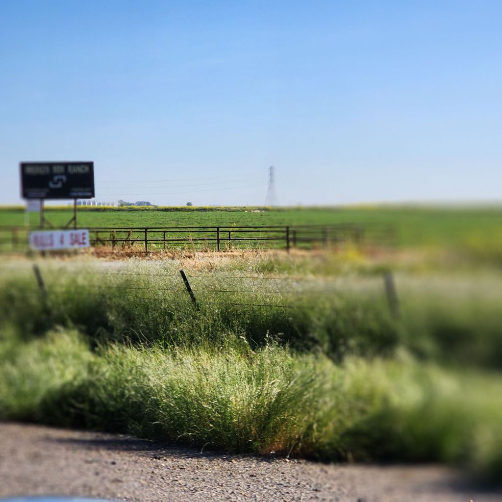 20250418_0857358674430498907259985