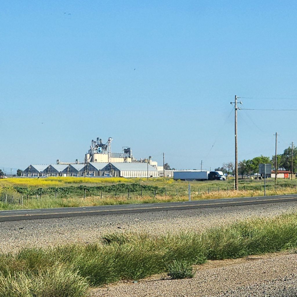 20250418_0859223851907101601626611