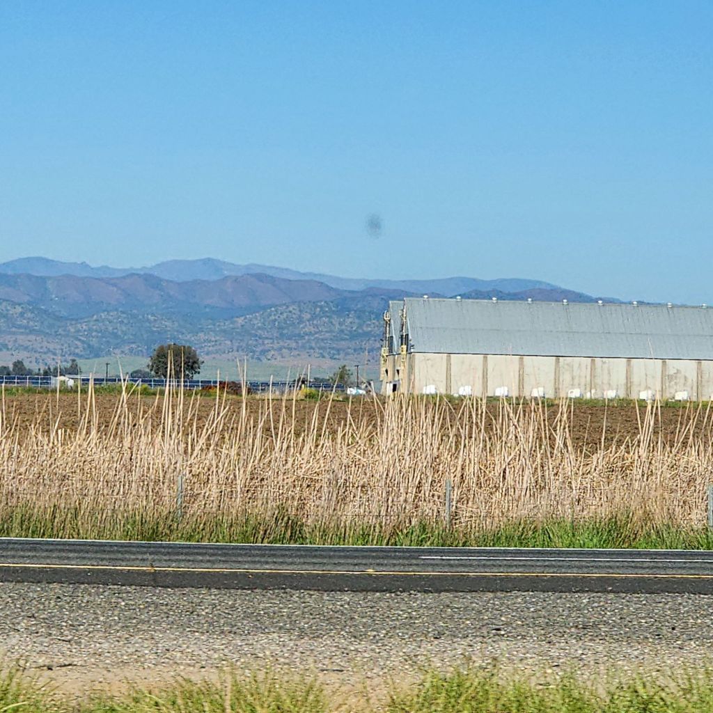 20250418_0900045065345202633042301