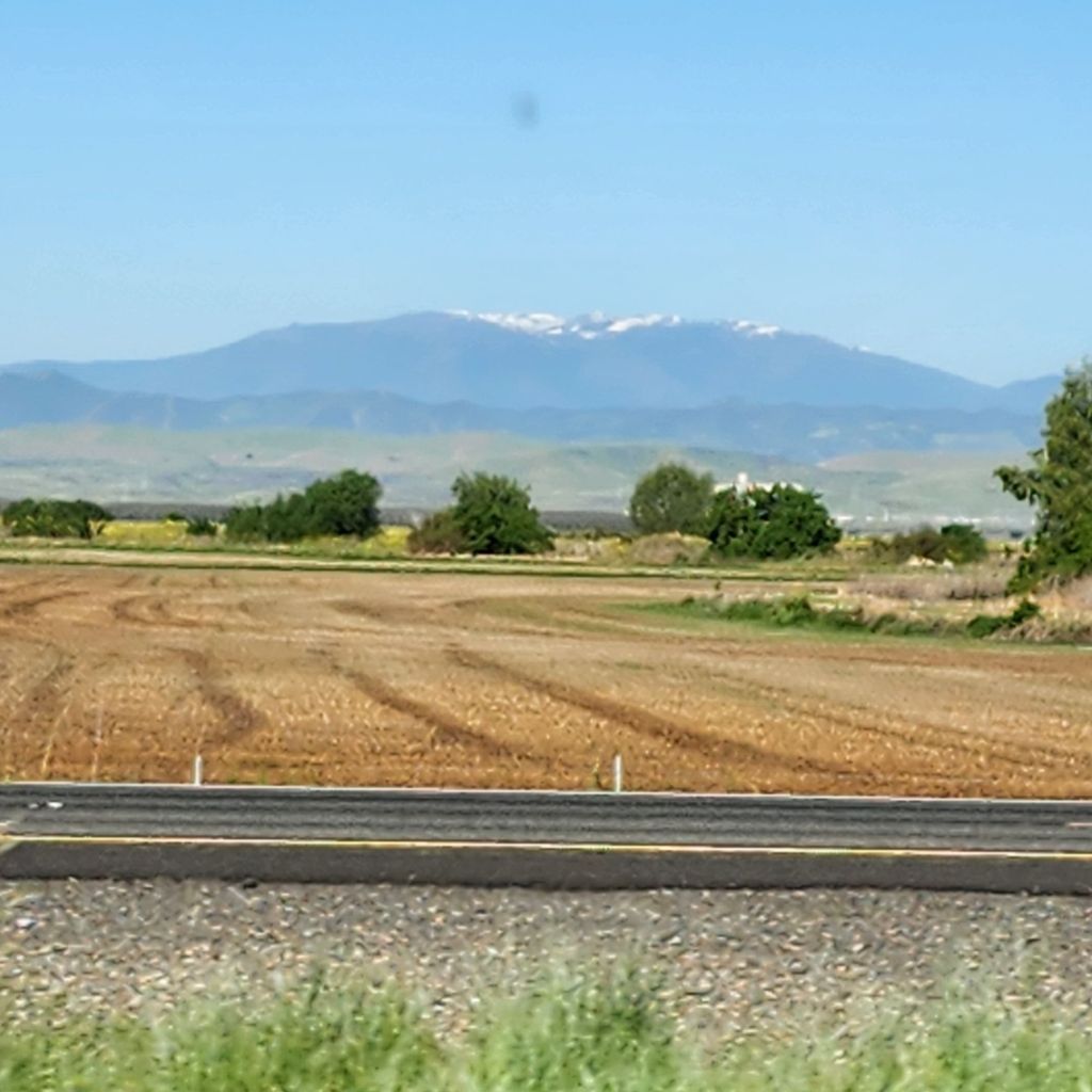 20250418_0906054352969308940035509