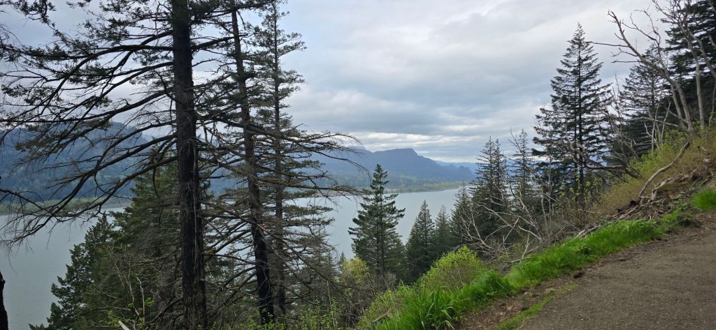 20250420_1613544249208134874444851