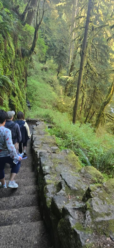 20250422_1323237028768180514891652