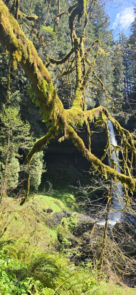 20250422_1332211372232959312977353