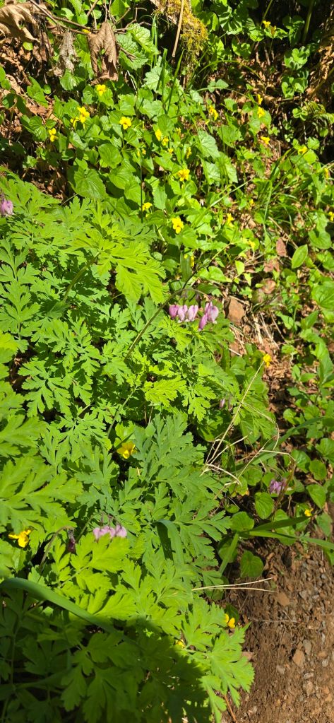 20250422_1345011458996044486212557