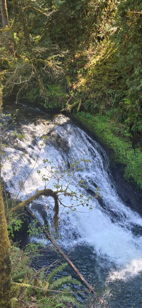 20250422_1430491009390774604368977