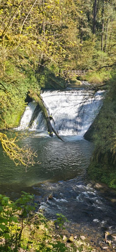 20250422_1440148218226843156717744