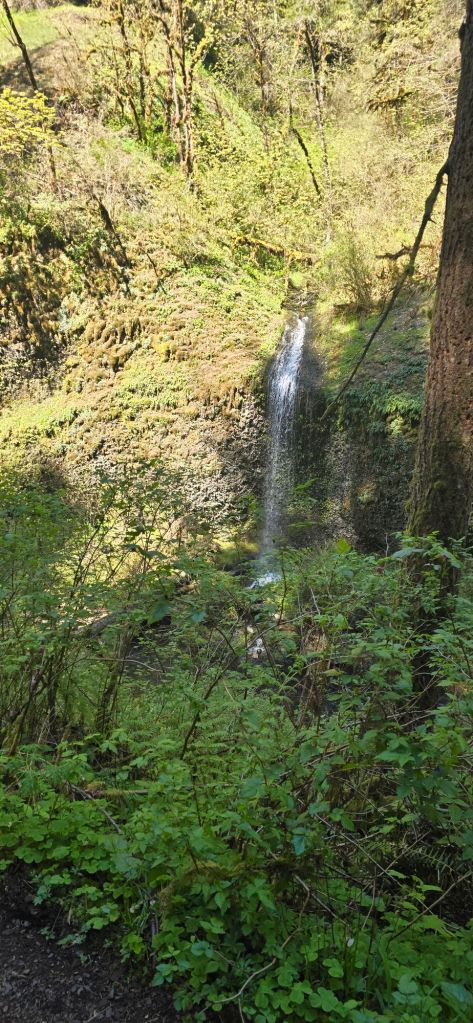 20250422_1449324915716647247464132