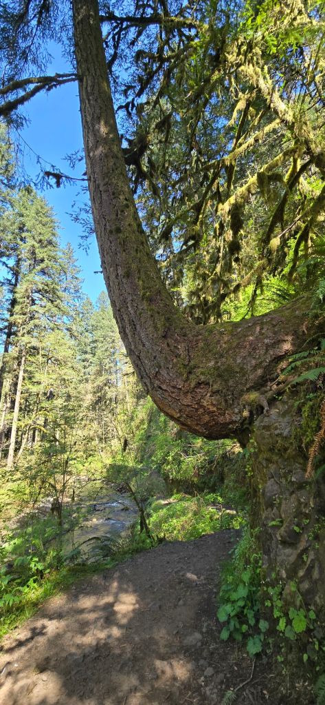 20250422_1504213196845519064624249