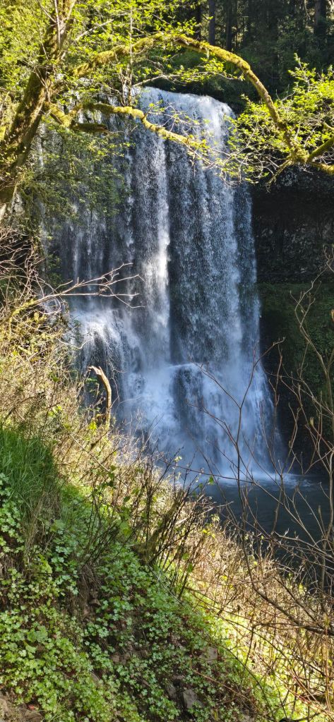 20250422_1520011295587165372454803