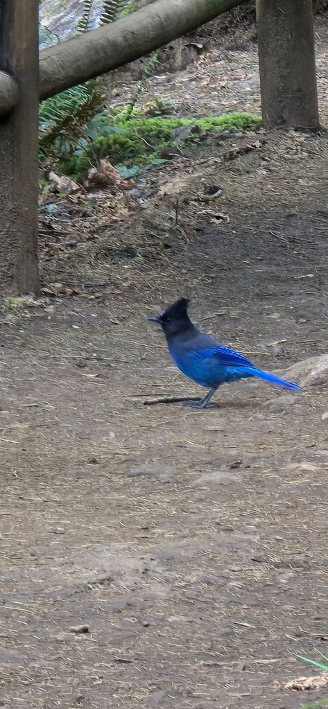 20250422_1533501580513554813705770