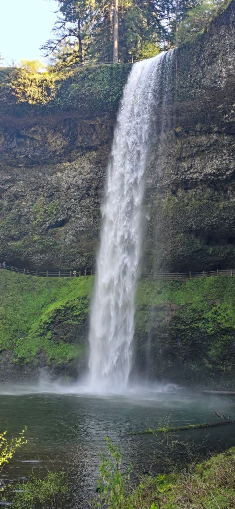 20250422_1548276958186567796919986