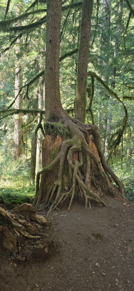 20250422_1616286558919220075394353