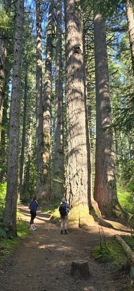 20250422_1617388411087646036288168