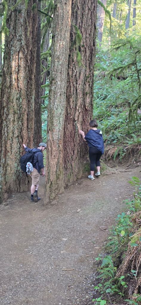 20250422_1700284681721414031781736