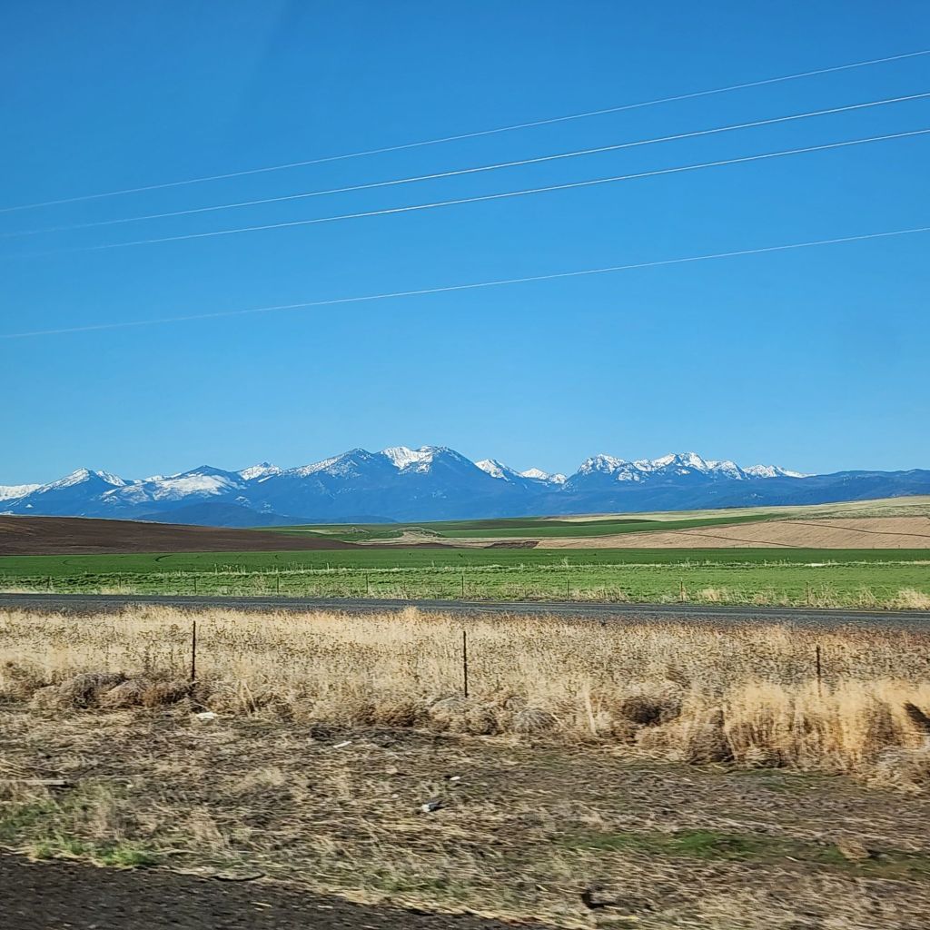 20250423_0800172489837982091739405