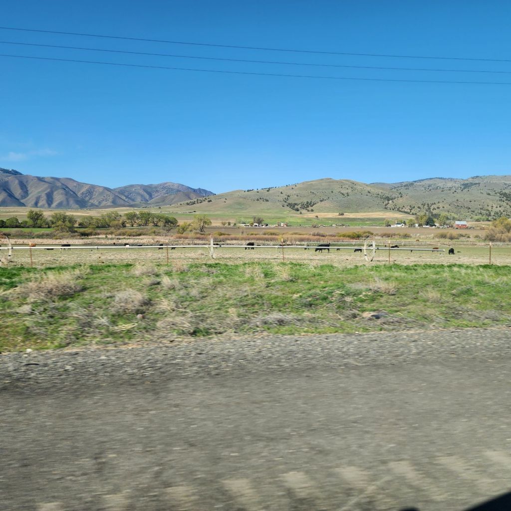 20250423_0835378673549654788994823