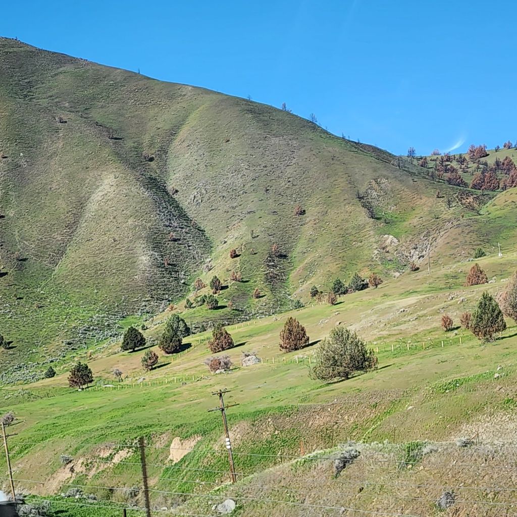 20250423_0842192530168760032321014