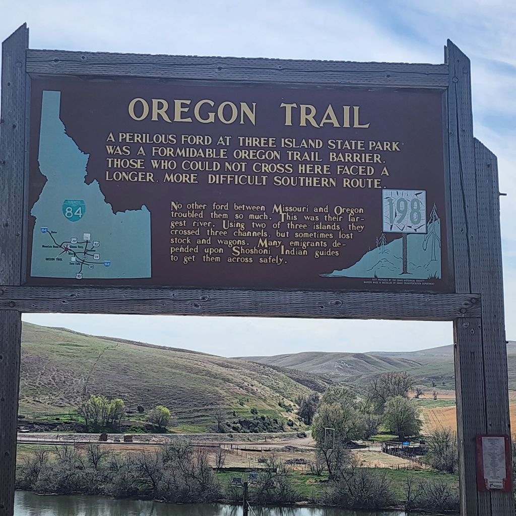 20250423_1237463659305314751492036