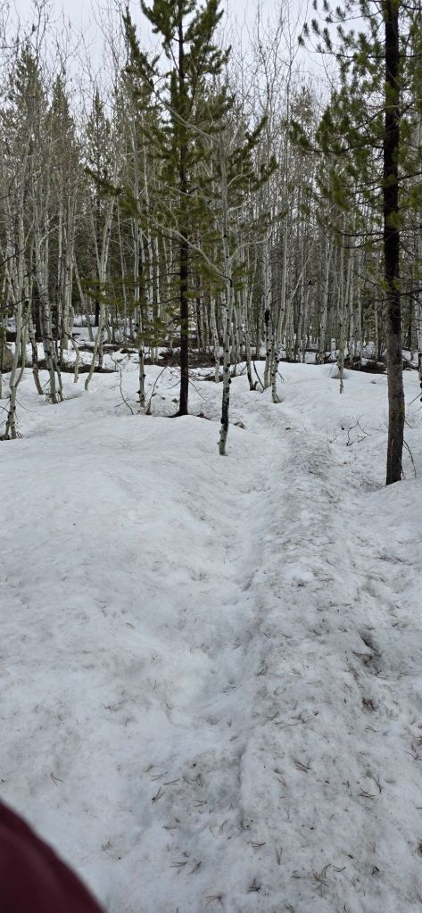 20250424_1005151765537052382965611