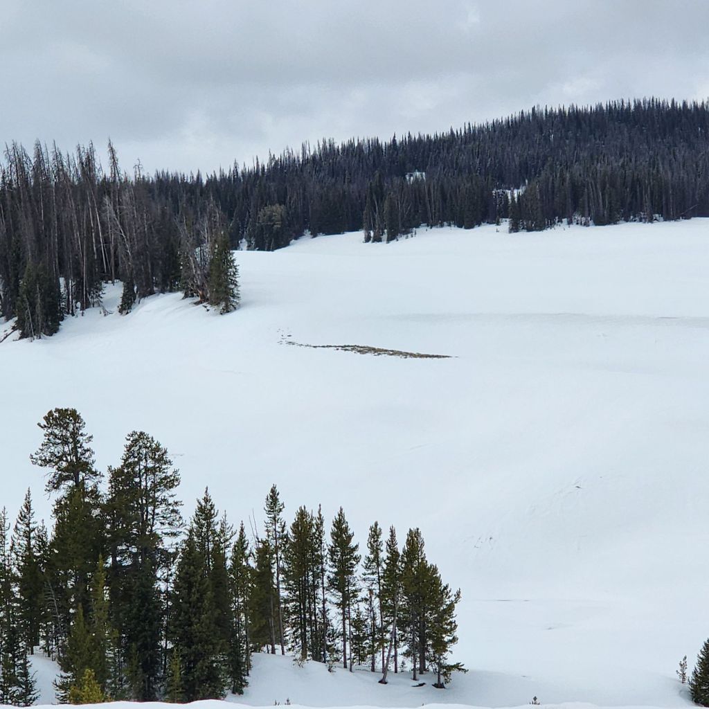 20250424_1130242044492557951081336