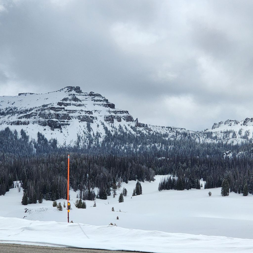 20250424_113242485834506879390284