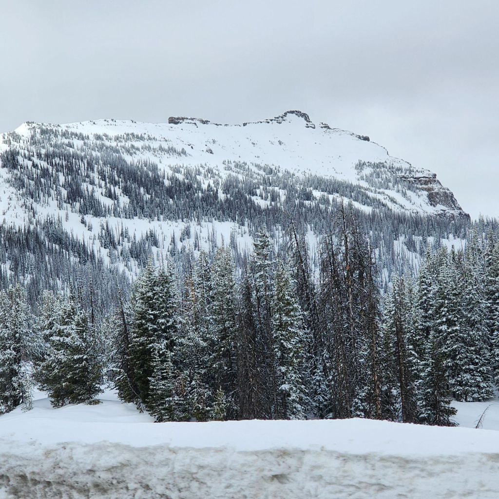 20250424_1135218100303719176830769