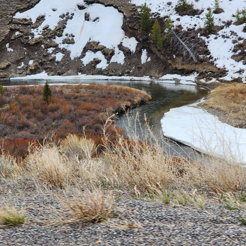 20250424_1152251845901317827985130