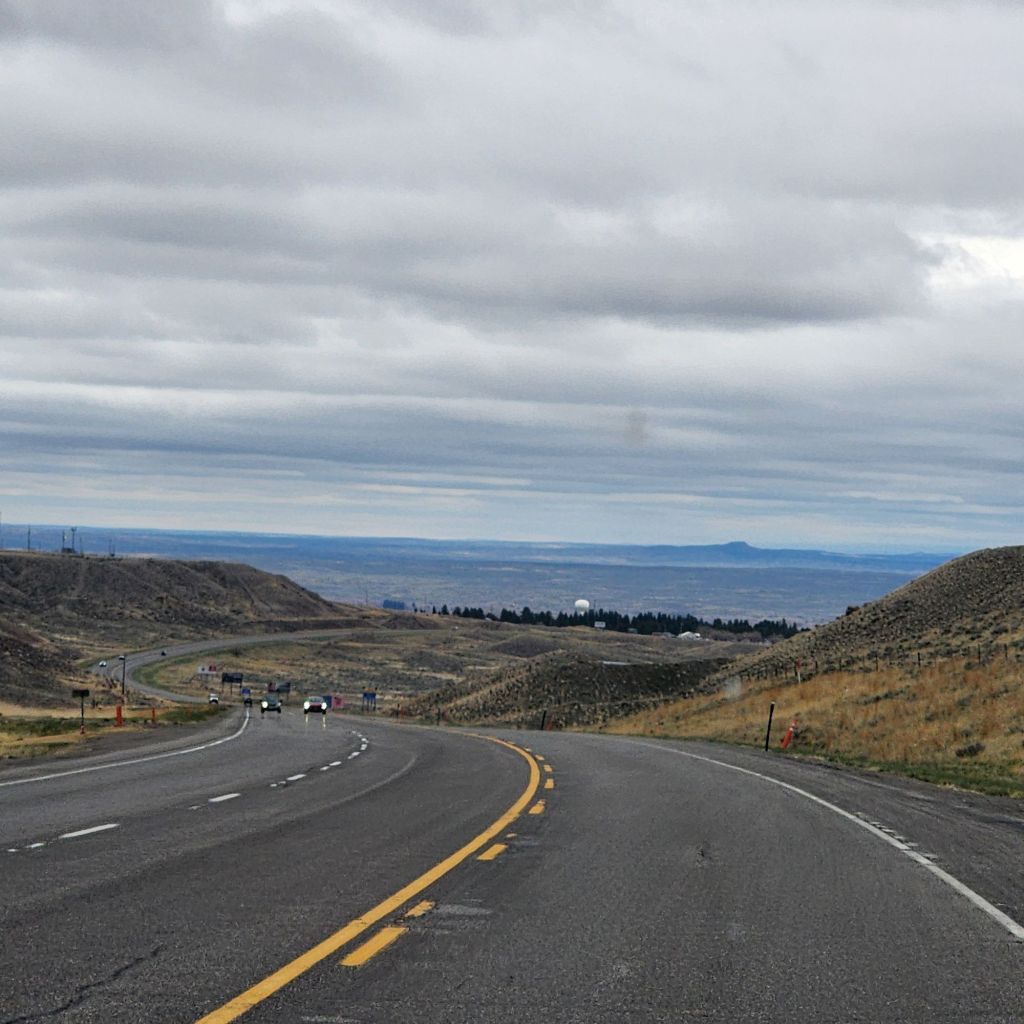 20250424_1306073162595895305134998