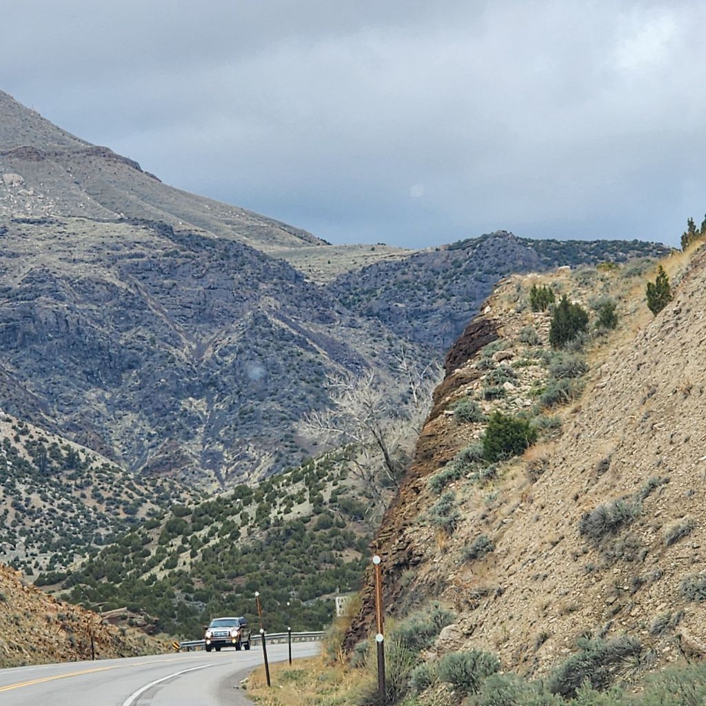 20250424_1453594305804840792542558