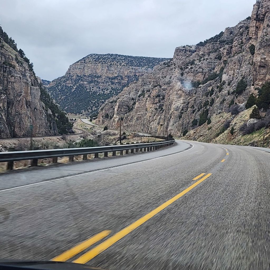 20250424_1503298054790092897965718